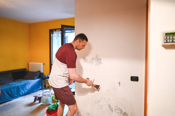 Best Residential Mold Removal  in El Rancho, NM